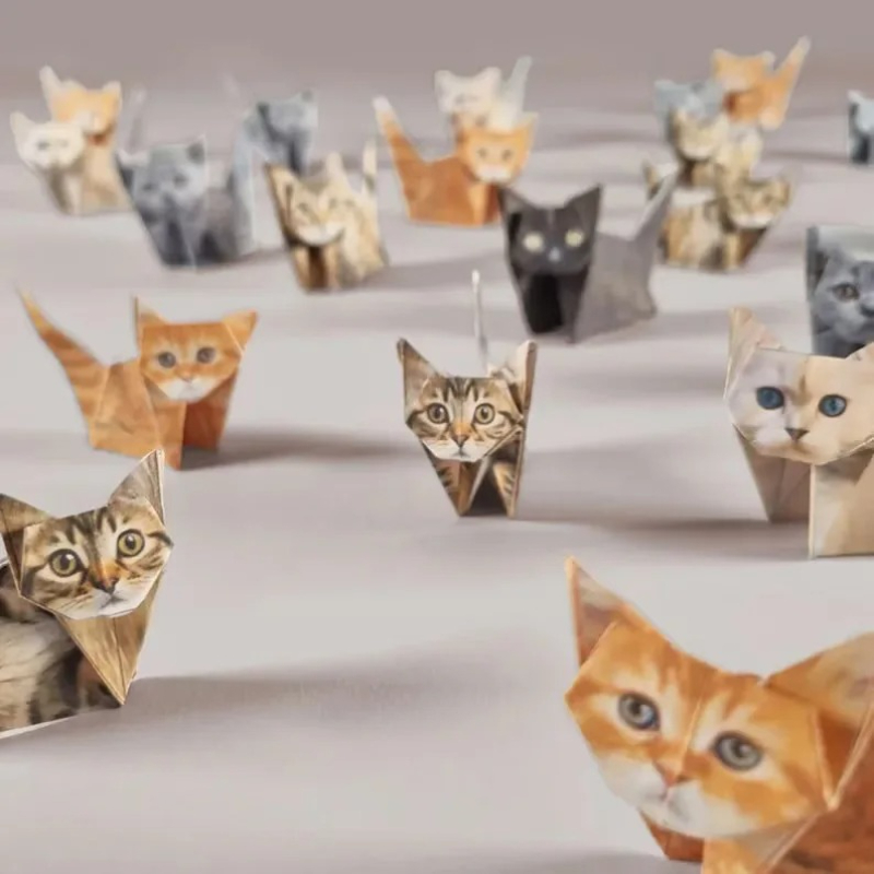 Creative DIY Paper Cats 50 She - Art Craft Cat 评论和价格