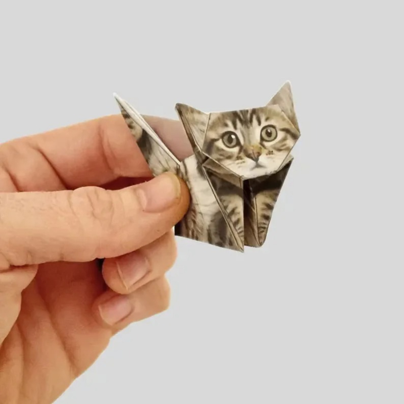 Creative DIY Paper Cats 50 She - Art Craft Cat 评论和价格