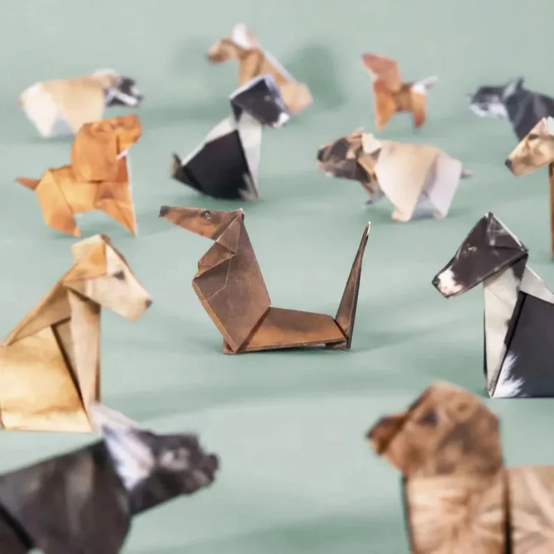 Creative DIY Paper Cats 50 She - Art Craft Cat 评论和价格