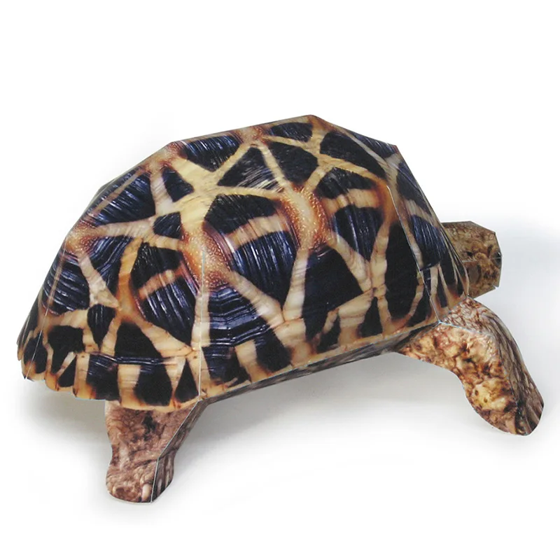 Indian Star Tortoise Paper Mod - Art Craft Cardboard 评论和价格
